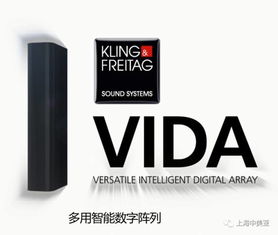 Kling Freitag K F Vida閃耀央視狗年春晚舞臺